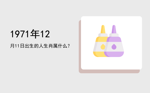 1971年12月11日出生的人生肖属什么?
