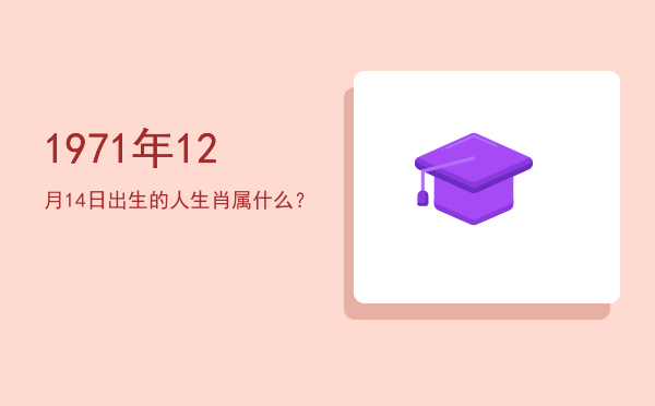 1971年12月14日出生的人生肖属什么?
