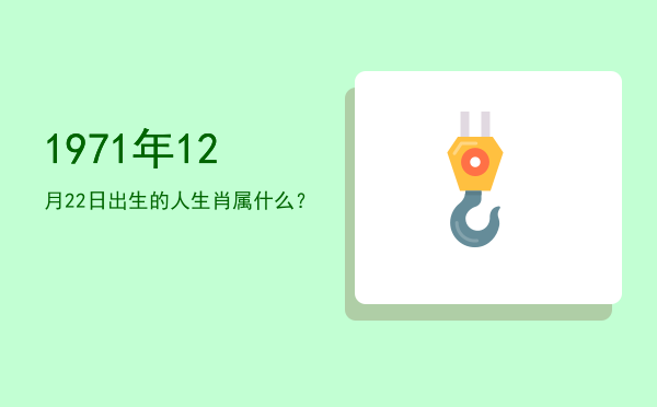 1971年12月22日出生的人生肖属什么?