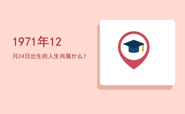 1971年12月24日出生的人生肖属什么?