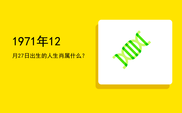 1971年12月27日出生的人生肖属什么?