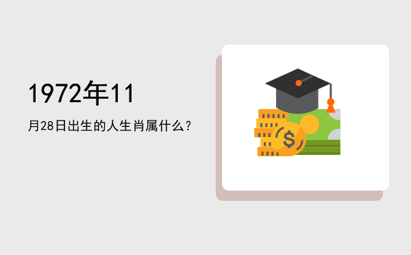 1972年11月28日出生的人生肖属什么?
