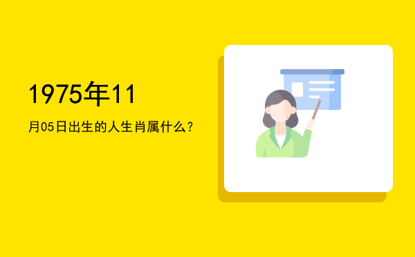 1975年11月05日出生的人生肖属什么?