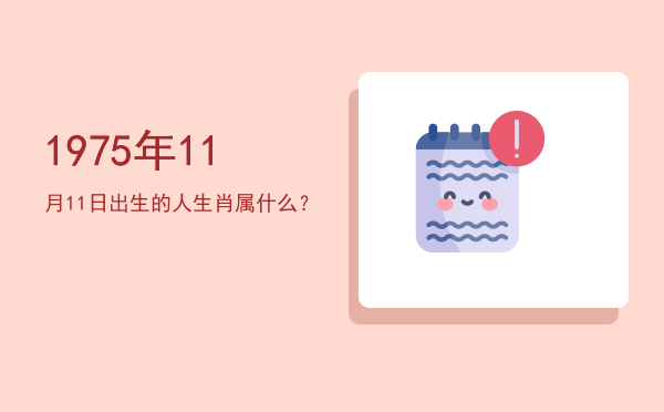 1975年11月11日出生的人生肖属什么?