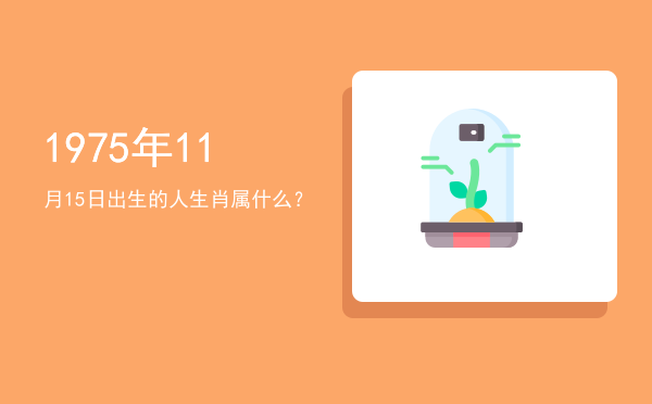 1975年11月15日出生的人生肖属什么?