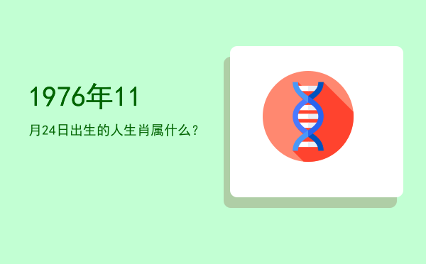 1976年11月24日出生的人生肖属什么?