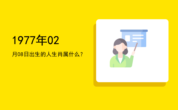 1977年02月08日出生的人生肖属什么?