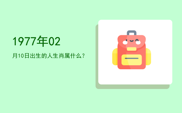1977年02月10日出生的人生肖属什么?