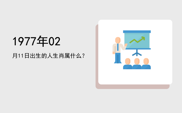 1977年02月11日出生的人生肖属什么?