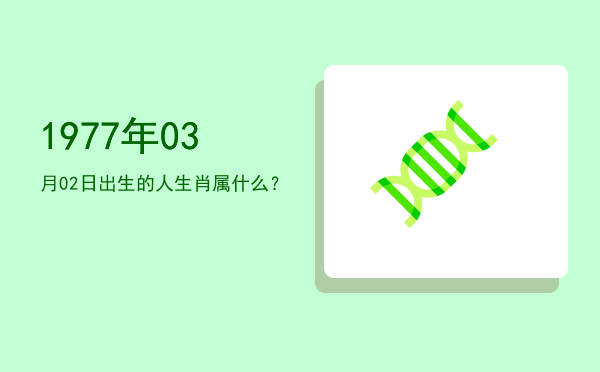 1977年03月02日出生的人生肖属什么?