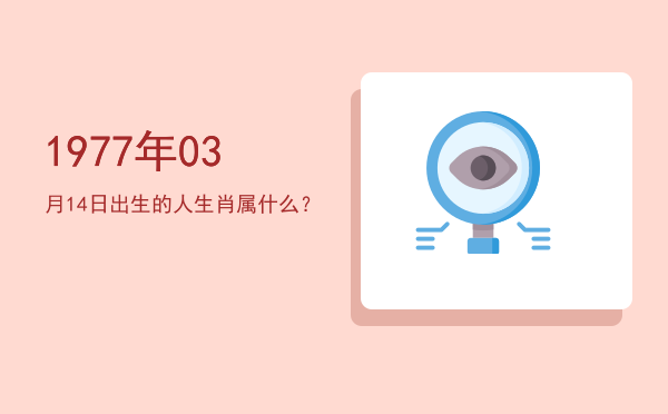 1977年03月14日出生的人生肖属什么？