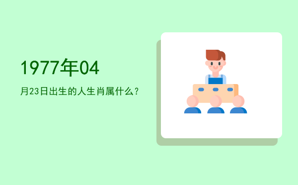 1977年04月23日出生的人生肖属什么?