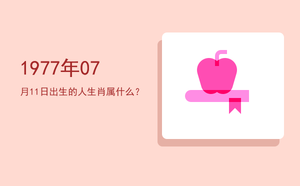 1977年07月11日出生的人生肖属什么?