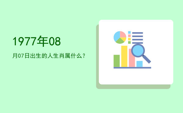 1977年08月07日出生的人生肖属什么?