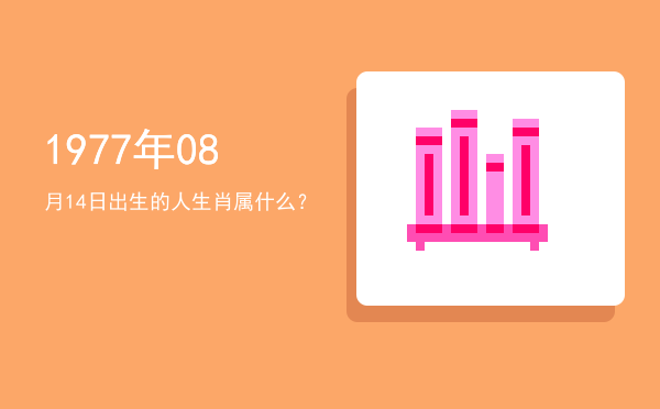 1977年08月14日出生的人生肖属什么？
