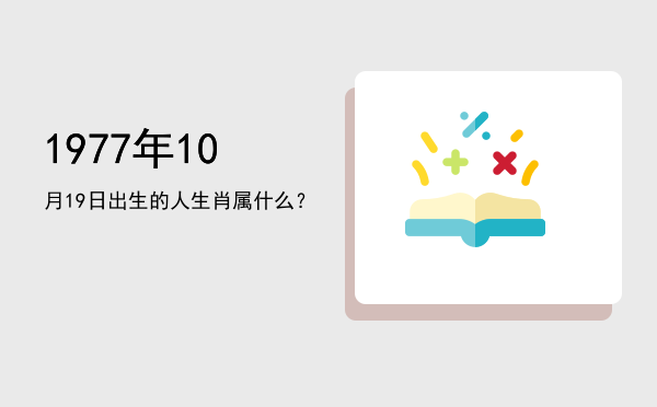 1977年10月19日出生的人生肖属什么?