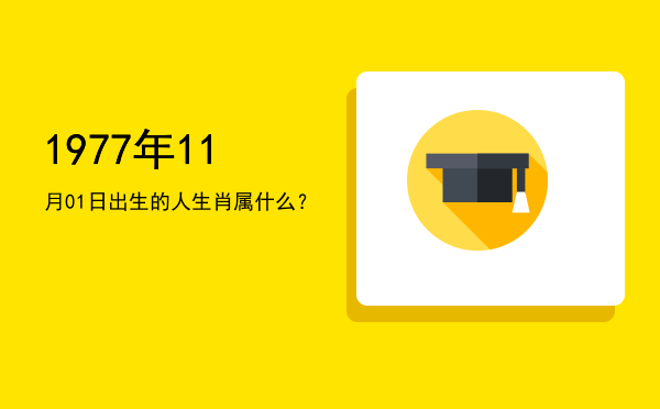 1977年11月01日出生的人生肖属什么?