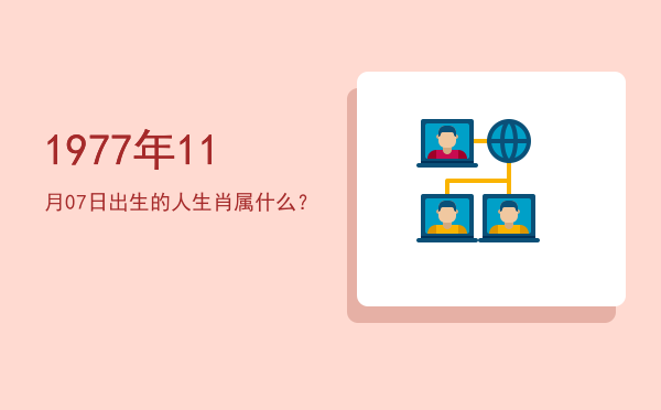 1977年11月07日出生的人生肖属什么?