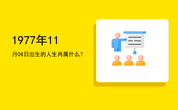 1977年11月08日出生的人生肖属什么？