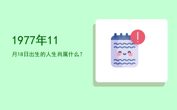 1977年11月18日出生的人生肖属什么?