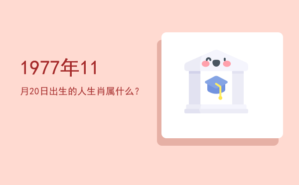 1977年11月20日出生的人生肖属什么?