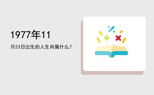 1977年11月23日出生的人生肖属什么?