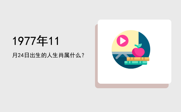 1977年11月24日出生的人生肖属什么?