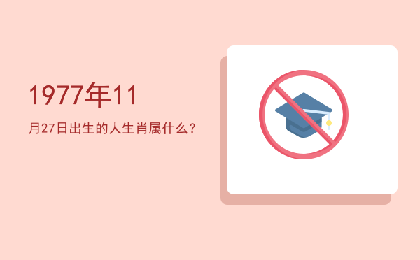 1977年11月27日出生的人生肖属什么?
