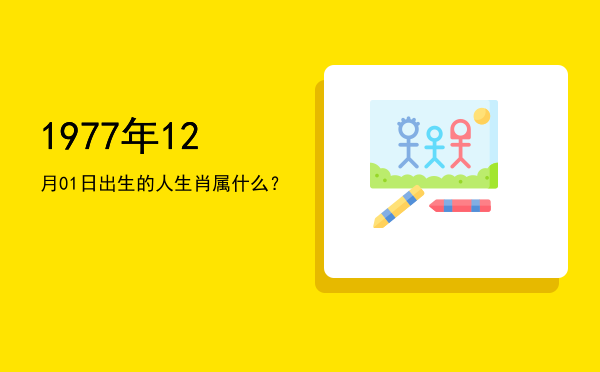 1977年12月01日出生的人生肖属什么?