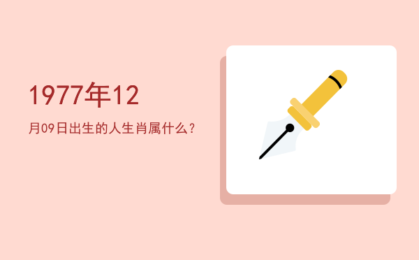 1977年12月09日出生的人生肖属什么?