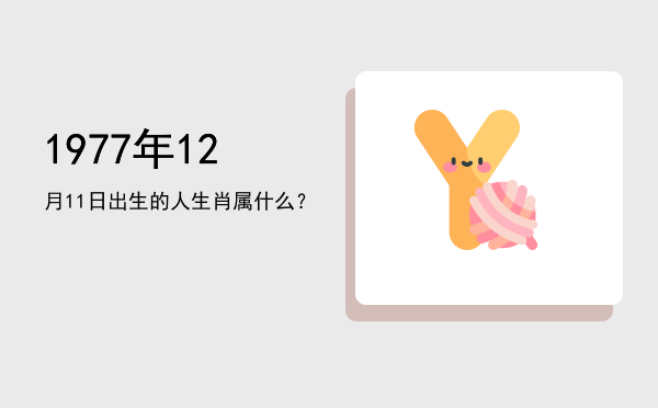 1977年12月11日出生的人生肖属什么?