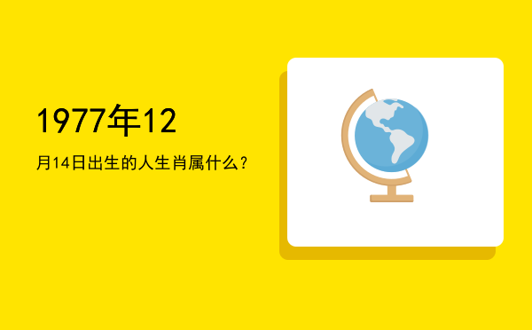 1977年12月14日出生的人生肖属什么?