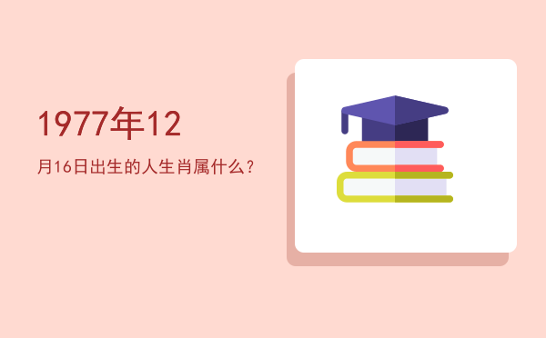 1977年12月16日出生的人生肖属什么?