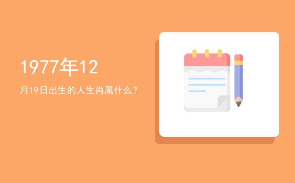 1977年12月19日出生的人生肖属什么?