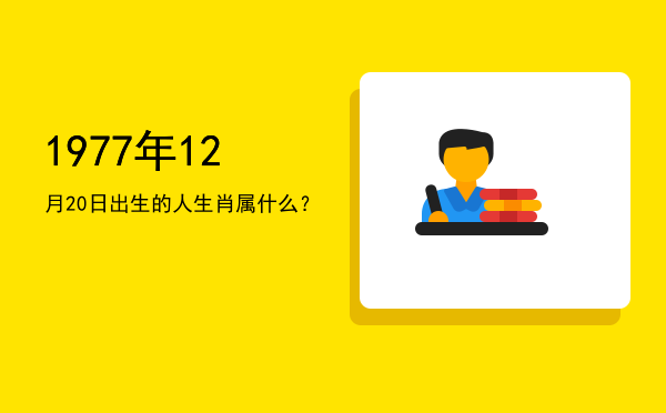 1977年12月20日出生的人生肖属什么?