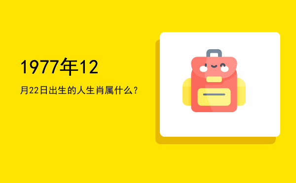 1977年12月22日出生的人生肖属什么?