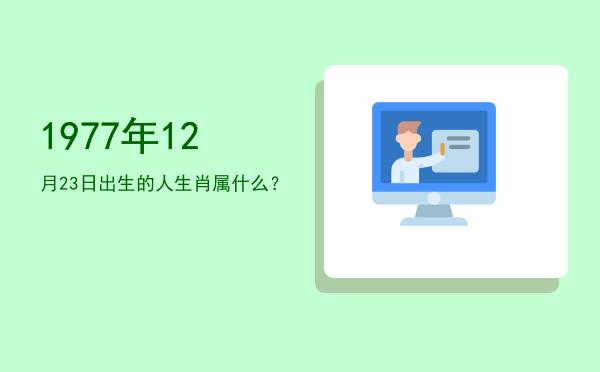 1977年12月23日出生的人生肖属什么?