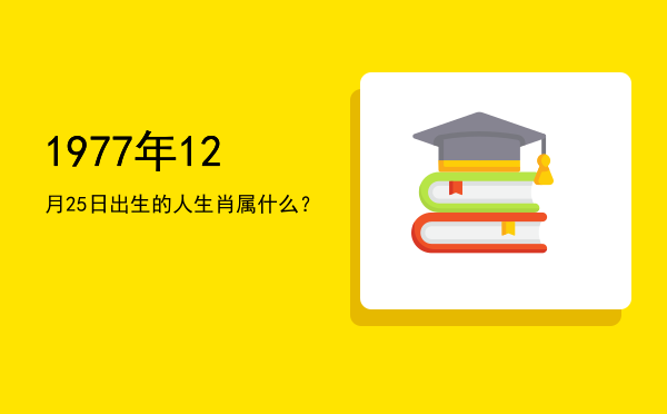 1977年12月25日出生的人生肖属什么?