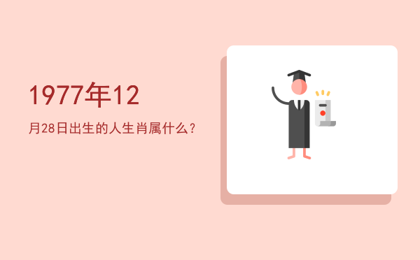 1977年12月28日出生的人生肖属什么?