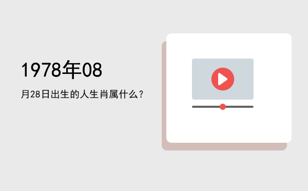 1978年08月28日出生的人生肖属什么?
