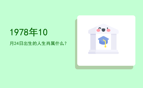 1978年10月24日出生的人生肖属什么?