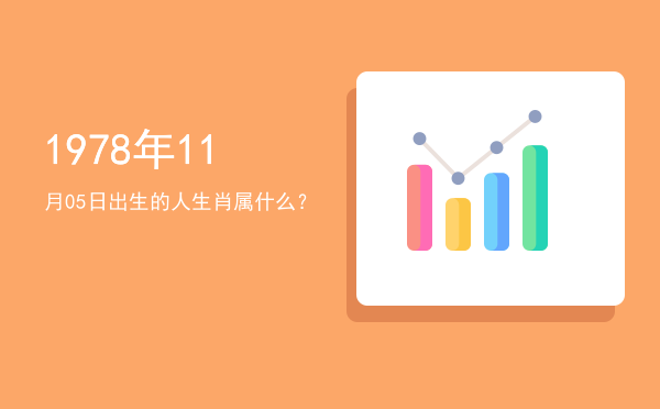 1978年11月05日出生的人生肖属什么?
