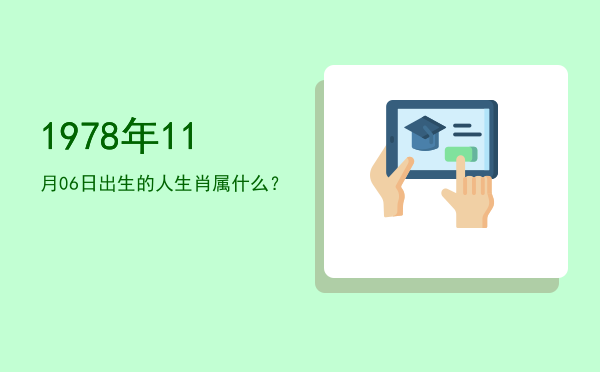 1978年11月06日出生的人生肖属什么?