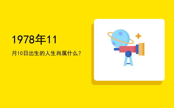 1978年11月10日出生的人生肖属什么?