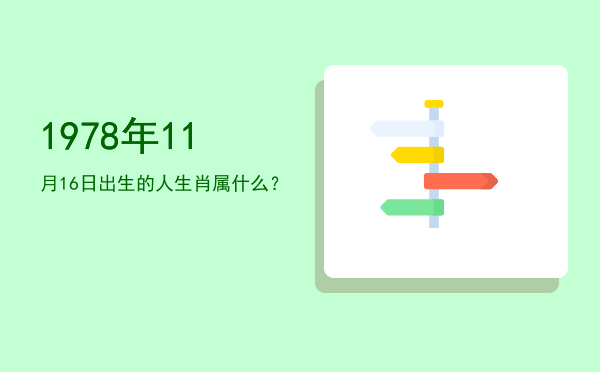 1978年11月16日出生的人生肖属什么?