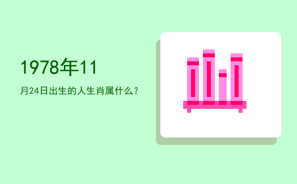 1978年11月24日出生的人生肖属什么?