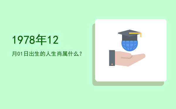 1978年12月01日出生的人生肖属什么?