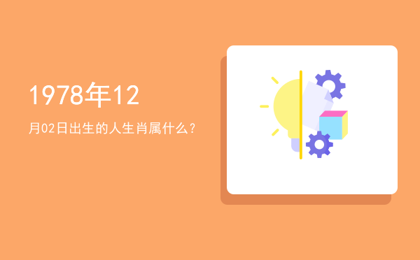 1978年12月02日出生的人生肖属什么?