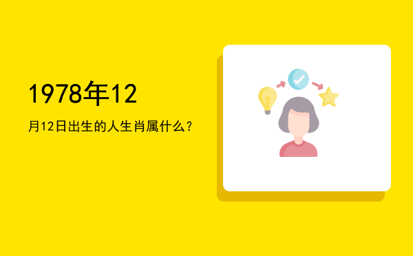 1978年12月12日出生的人生肖属什么？