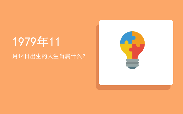 1979年11月14日出生的人生肖属什么?